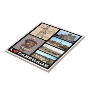 Azulejo CARTHAGE zTN016: Amo, Mosaic, Túnez,