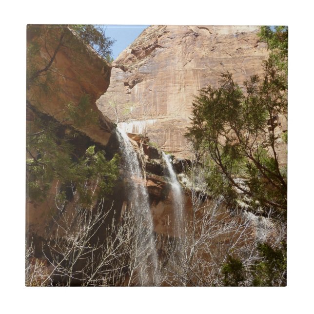 Azulejo Cascada de Emerald Pool I desde Zion National Park (Frente)