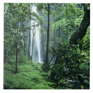 Azulejo Cascada de Hanakapiai a lo largo de la costa de Na
