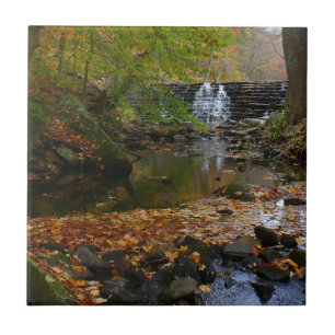 Azulejo Cascada de otoño y arroyo Pennsylvania Naturaleza