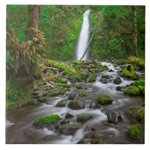 Azulejo Cascada de Ruckel Creek, desfiladero del río Colum