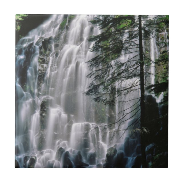 Azulejo Cascada en bosque, Oregón (Frente)