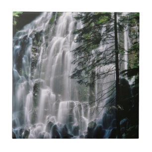 Azulejo Cascada en el bosque, Oregón