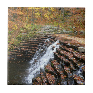 Azulejo Cascada en el Parque Estatal Laurel Hill