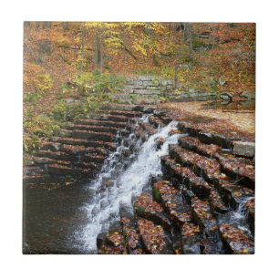 Azulejo Cascada en Laurel Hill State Park II