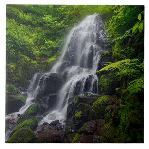 Azulejo Cascada Fairy Desfiladero del río Colombia Orego