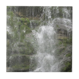 Azulejo Cascada La Chute en el Parque Nacional Forillon