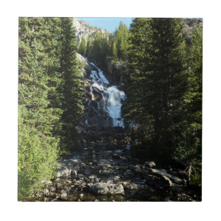 Azulejo Cascada Oculta en el Parque Nacional Grand Teton