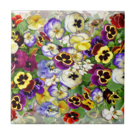 Azulejo Cascada Pansy