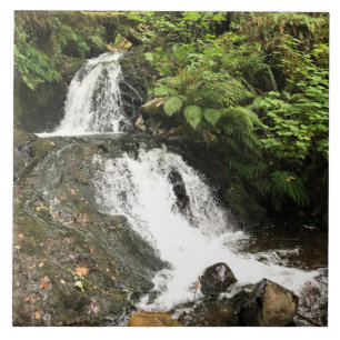 Azulejo Cascada Shepperd's Dell, OR