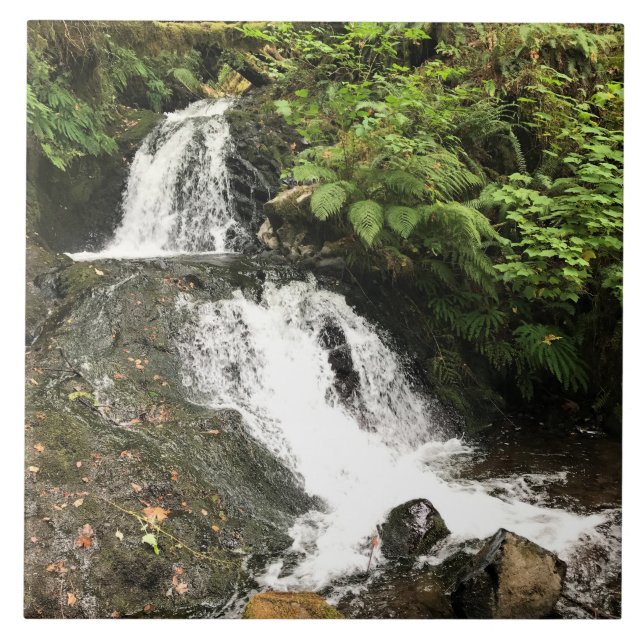 Azulejo Cascada Shepperd's Dell, OR (Frente)
