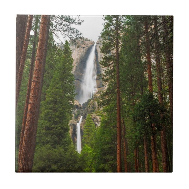 Azulejo Cascada Yosemite a través del bosque (Frente)
