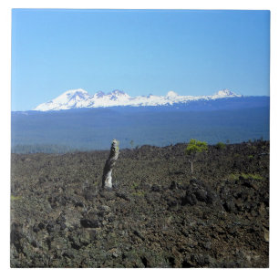 Azulejo Cascadas y rocas de lava, O