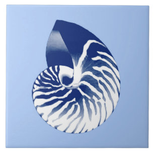 Azulejo Cáscara del nautilus - marina de guerra, blanco y