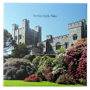 Azulejo Castillo de Penrhyn, Gales
