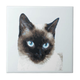 AZULEJO CAT 11