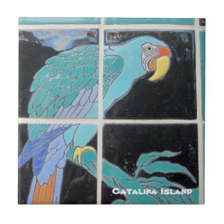 AZULEJO CATALINA ISLAND CERAMIC TILE