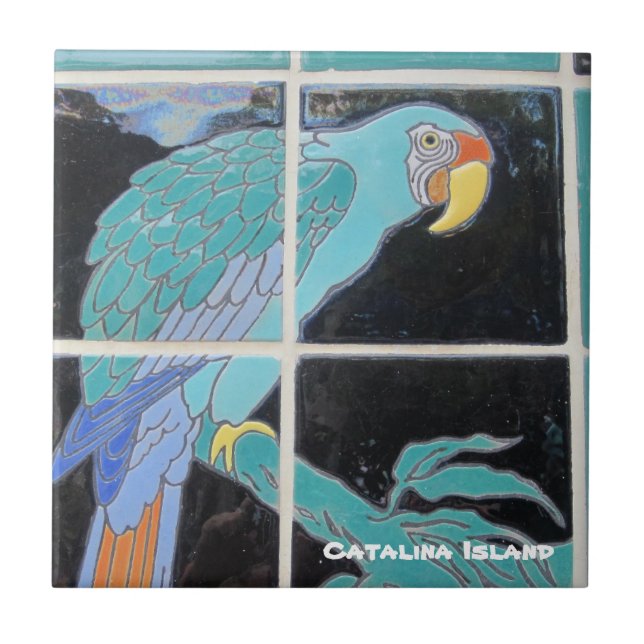 AZULEJO CATALINA ISLAND CERAMIC TILE (Frente)