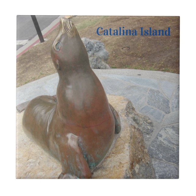 AZULEJO CATALINA ISLAND CERAMIC TILE THE BEN (Frente)