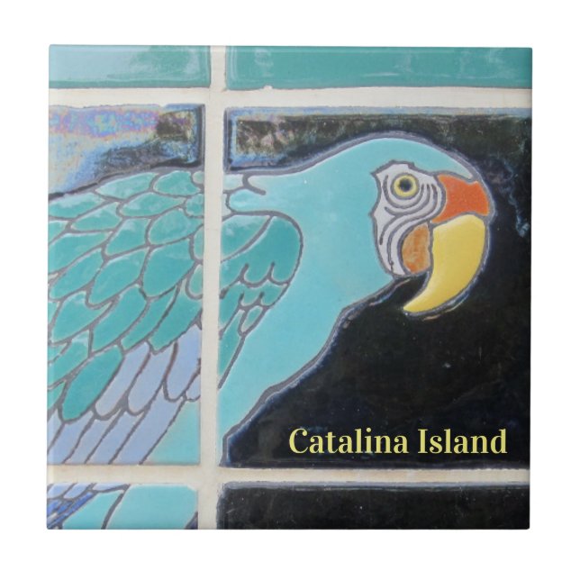 AZULEJO CATALINA ISLAND CERAMIC TILE THE LOOK (Frente)