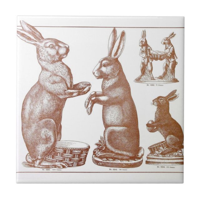 Azulejo Catálogo del conejito del molde del chocolate de (Frente)