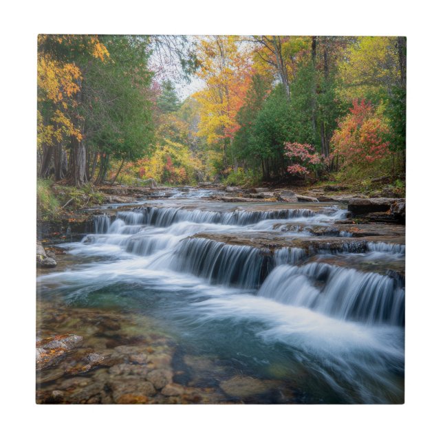 Azulejo Cataract Falls en EE. UU. (Frente)