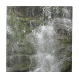 Azulejo Catarata La Chute en el Parque Nacional Forillon