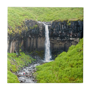 Azulejo Catarata Svartifoss en Skaftafell - Islandia