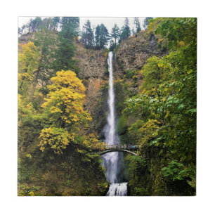 Azulejo Cataratas Multnomah, desfiladero del río Columbia,