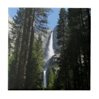 Azulejo Cataratas Yosemite y paisajes de Woods fotográfico