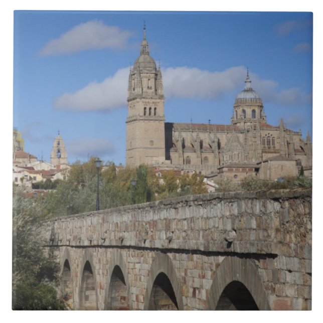 Azulejo Catedrales de Salamanca, vistas desde Puente Roman (Frente)