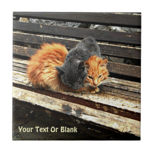 Azulejo Catnap Cuties