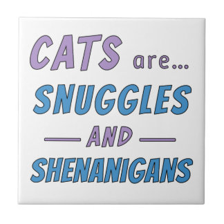 Azulejo Cats are Snuggles and Shenanigans