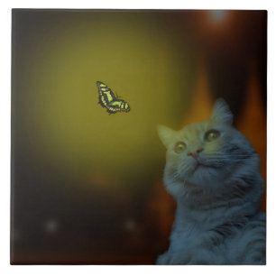 Azulejo Cautivado por la Belleza: Gato Hipnotizado por Mar