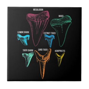 Azulejo Caza de dientes de tiburón - Regalos locos de tibu