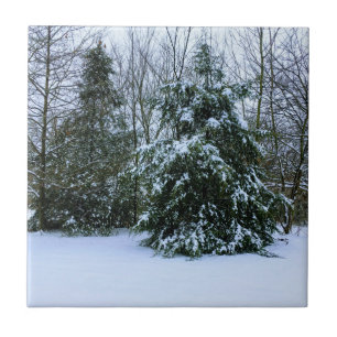 Azulejo Cedars de nieve