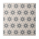 Azulejo Cerami del patrón de estreno plateado moderno de m<br><div class="desc">Diseño de inspiración moderna de mediados del siglo, con un patrón vintage de estallidos de plata retro. Diseño sencillo y moderno. Un diseño de una colección de coordinación. Crea tu propio patrón de personalizado cargando una nueva imagen, o usa el botón "mensaje" para contactar con el diseñador para obtener ayuda....</div>