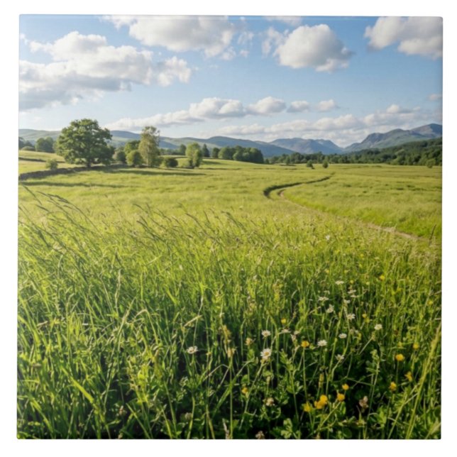 Azulejo Ceramic Tile (Frente)
