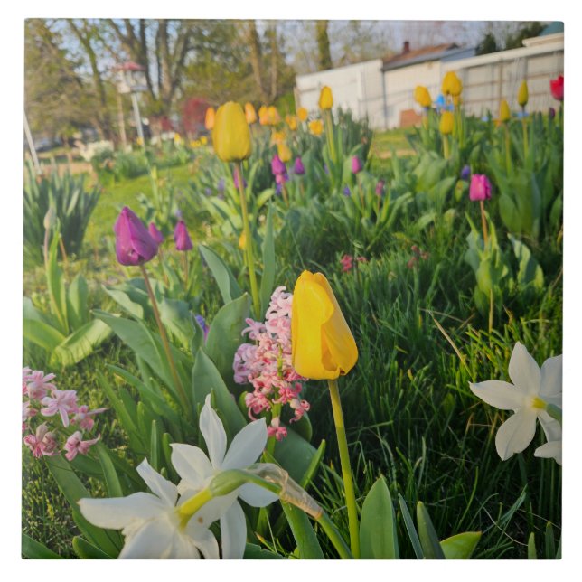 Azulejo Ceramic Tile (Frente)