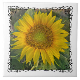 Azulejo Ceramic Tile