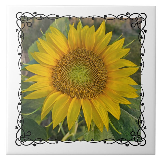 Azulejo Ceramic Tile (Frente)