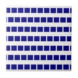 Azulejo Ceramic Tile Blue & White Stripe Checkered