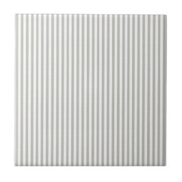 Azulejo Ceramic Tile Grey & White Stripe