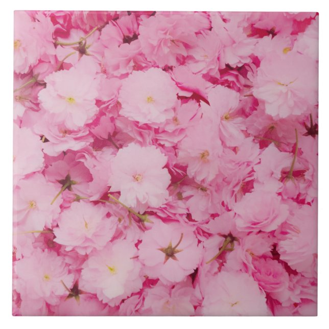 Azulejo Ceramic Tile Pink Cherry Blossom Floral Botanical (Frente)