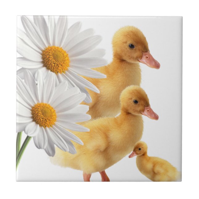 Azulejo Cerámica Tile Blanco Daisy Floral (Frente)