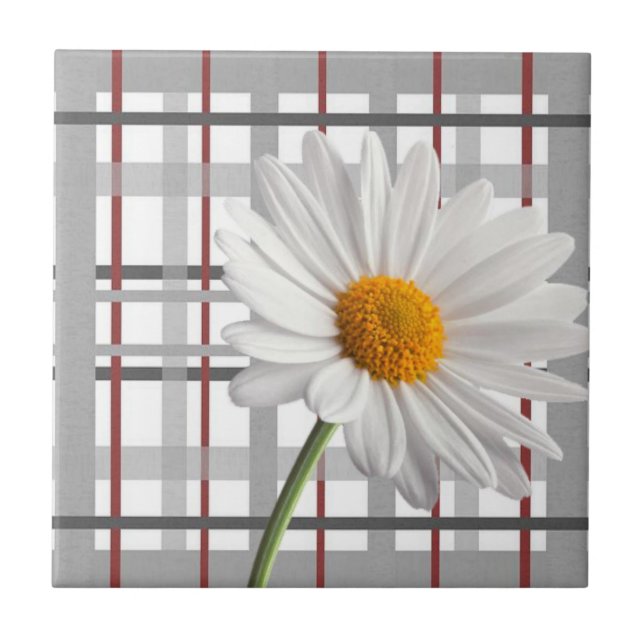 Azulejo Cerámica Tile Blanco Daisy Floral (Frente)