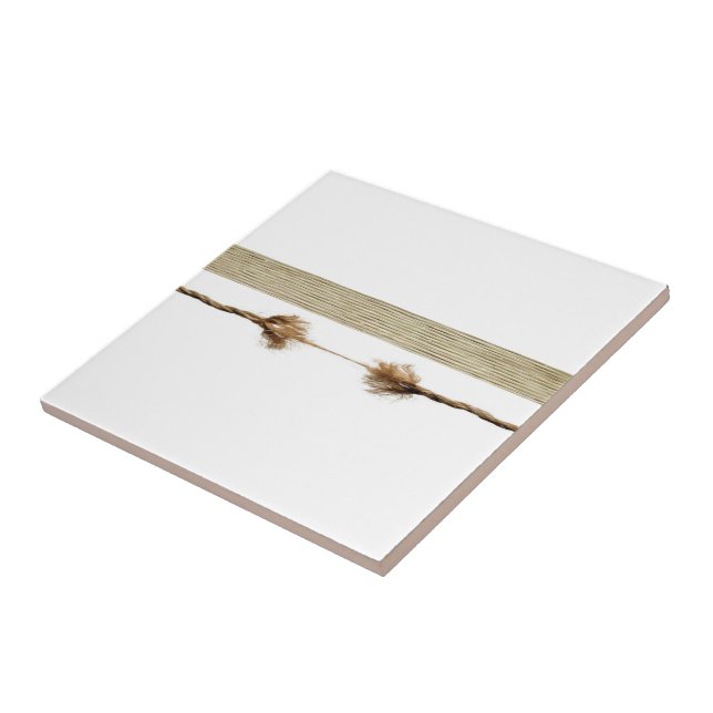 Azulejo Cerámica Tile White Rope Natural (Lado)