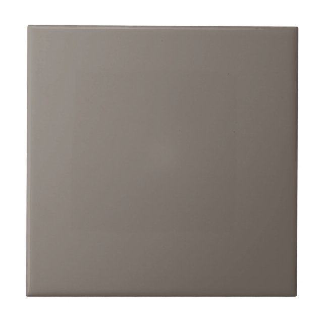 Azulejo Cerámico Beige Marrón Atemporal (Frente)