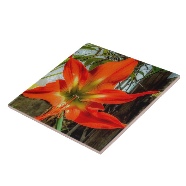 Azulejo Cerámico de Amaryllis en Primer Plano (Lado)