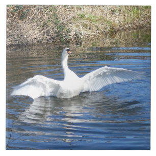 Azulejo Cerámico de Cisne con Alas Extendidas en A